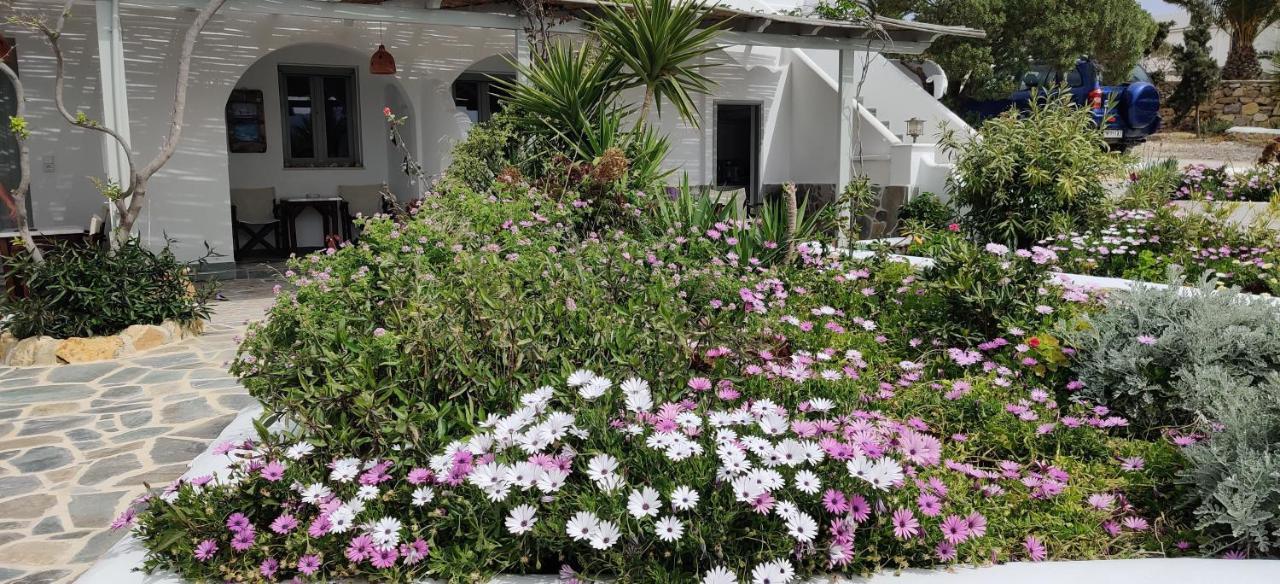 Anemomylos Houses Koufonisia Buitenkant foto